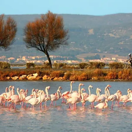 公寓 5p Terrasse Sud Vue Mer, Acces Direct